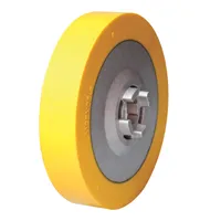 IGM Spare Roller, Narrow D120x25 for Feeders DC30-DC40