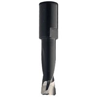 CMT C380 Router Bit for Domino by Festool - D10x28 L49 S=M6x0,75 CMT C380 Router Bit for Domino by Festool - D10x28 L49 S=M6x0,75