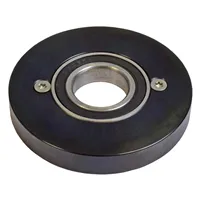 IGM Guide Bearing - D105 d30 mm, Butting Ring & Bearing