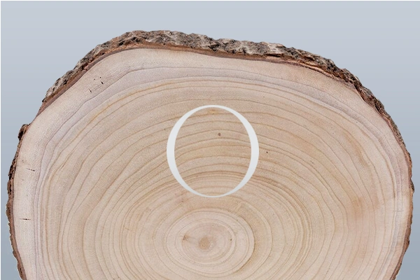 Jak začít se soustružením dřeva?